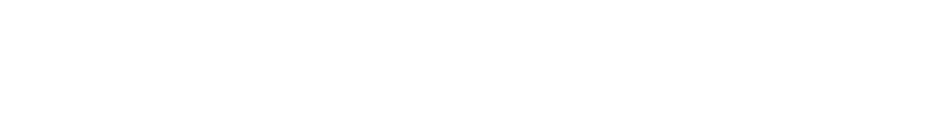 BizzOnWheels